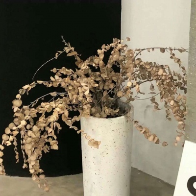 Furry写实风格绘画技巧兽圈社群